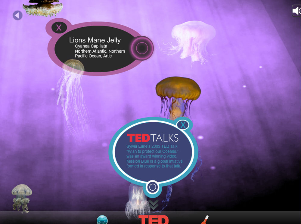 Jellies: Ted Talks